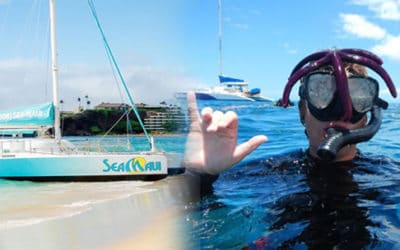 Sea Maui – Xpress Morning Snorkel