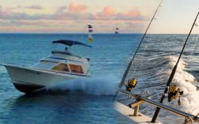 Inter-Island Sportfishing – Sea Hawk