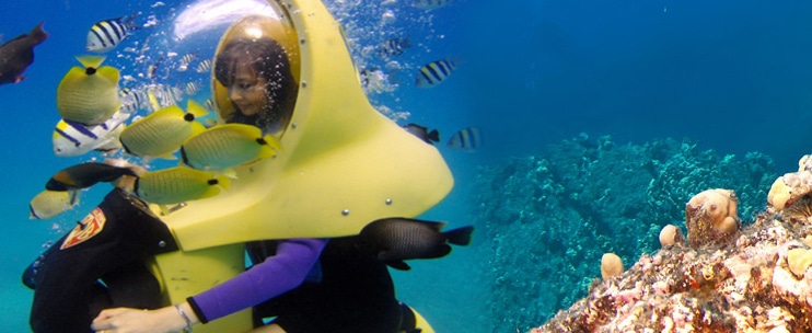 Reef Dancer – 90 Minute Reef Viewing Adventure and Dive Show