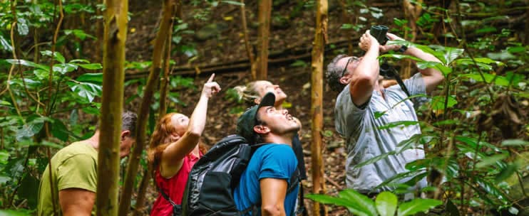 Hawaii Forest & Trail – Birds & Wildlife of Oahu