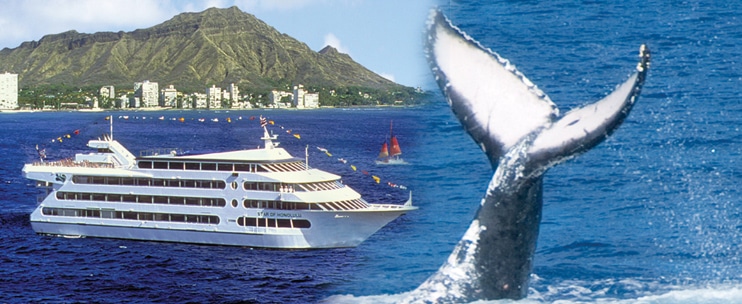 Star of Honolulu – Premier Whale Watch Cruise