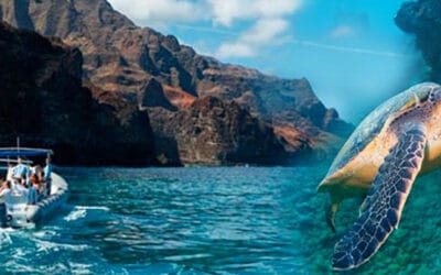 Holo Holo Charters – Na Pali Exploration and Snorkel (Hanalei Departure)