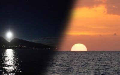 Pacific Whales Foundation: Full Moon Rhythms Cruise (Ma’alaea)