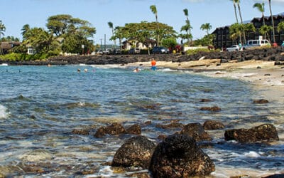 SeaFun Kauai – Beach Snorkel Tour