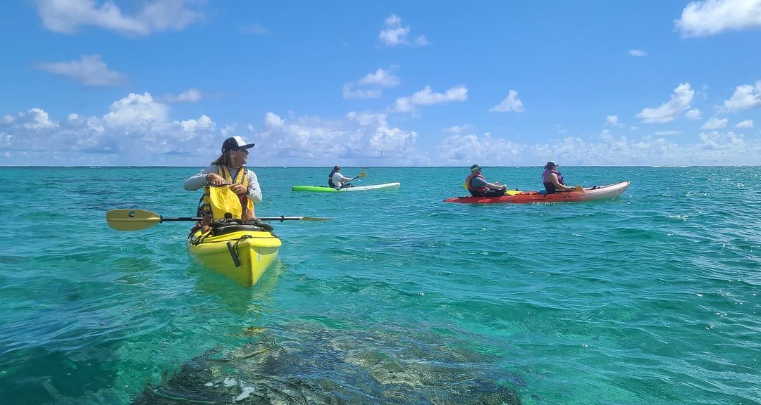 Twin Islands Guided Kayak Tour by Kailua Beach Adventures