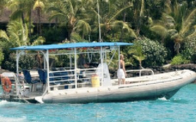 Deluxe Afternoon Captain Cook Tour