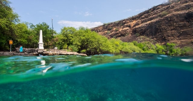 Afternoon Group Discount – 6-12 Guests – $20 Off per person – Kayak, Dolphin & Snorkel