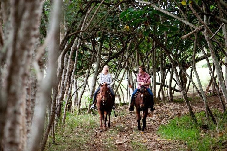 Sweetheart Horseback Experience (Private) | Kahuku, Oahu
