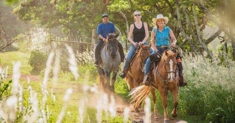 1.5 Hour Scenic Horseback Ride + PCC Luau/ Show | Kahuku, Oahu