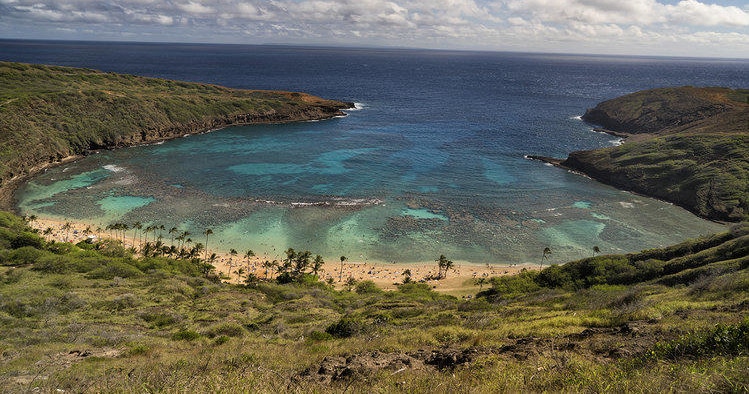 Private Tour – Best of Oahu Sightseeing | Honolulu, Oahu