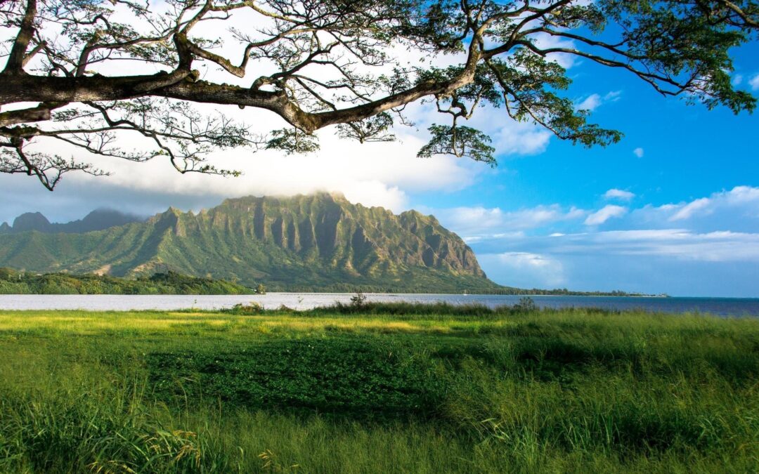 Private Circle Island Sunrise Tour | Honolulu, Oahu