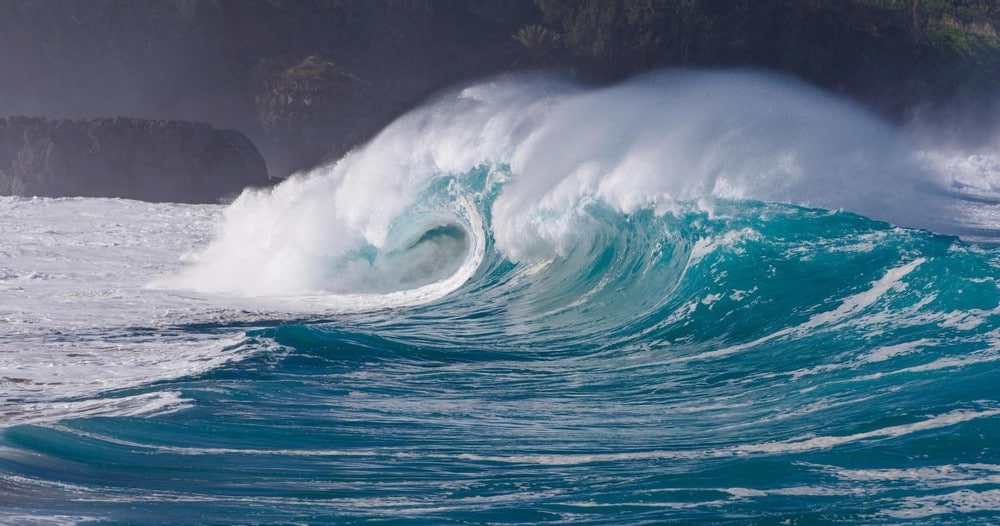 Private North Shore Tour | Honolulu, Oahu