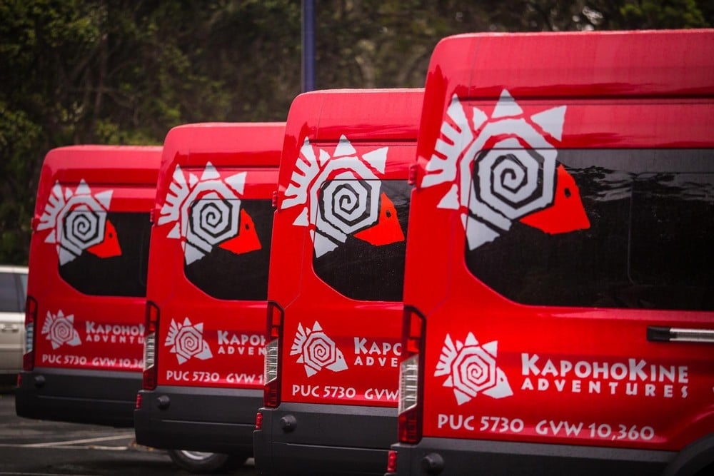 Private CUSTOM VAN Tour from Kona | Hilo, Big Island HI