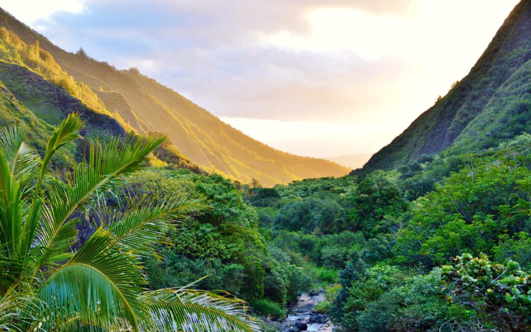 ‘Iao Valley Excursion | Kahului, Maui