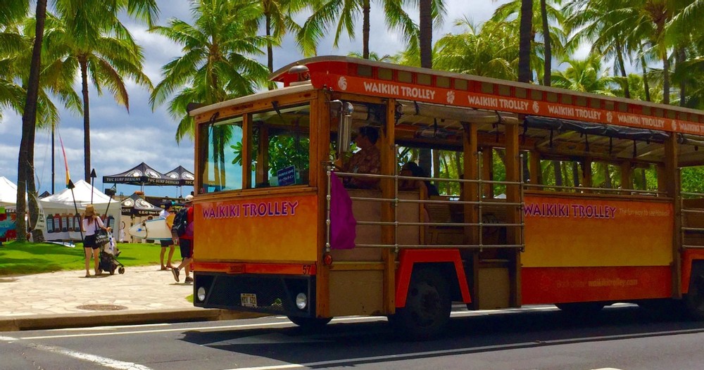 Pink Line Day Pass | Honolulu, Oahu