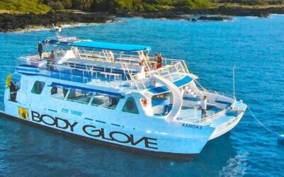 Body Glove – Hilo HI