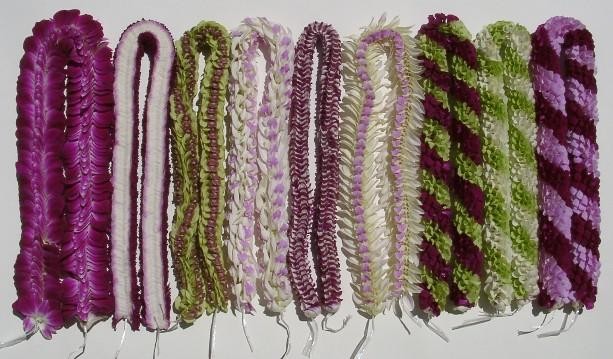 Wholesale 9 Leis-Gift Pack – Honolulu, Oahu