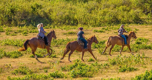 Advanced Trail Ride (Private) | Kahuku, Oahu