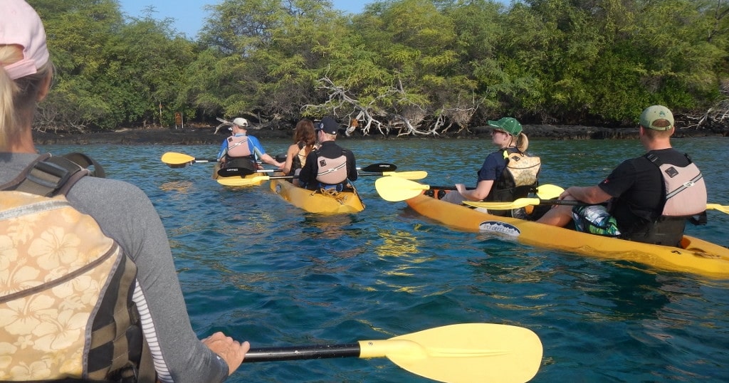 Afternoon Private Tour – Kayak, Dolphin & Snorkel at Kealakekua Bay & Captain Cook