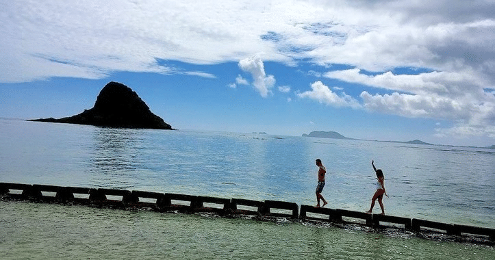 Oahu Circle Island Tour – Half Day (6HR) | Honolulu, Oahu