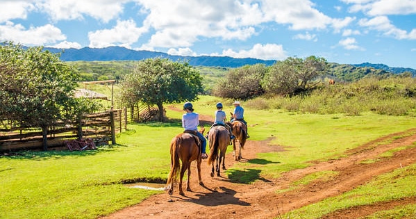 1.5 Hour Scenic Horseback Ride | Kahuku, Oahu