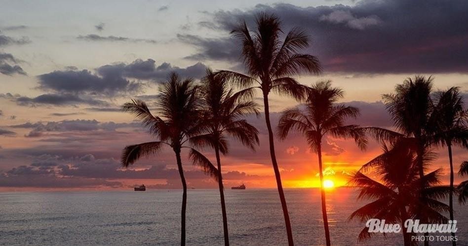 Sunset Tour | Honolulu, Oahu
