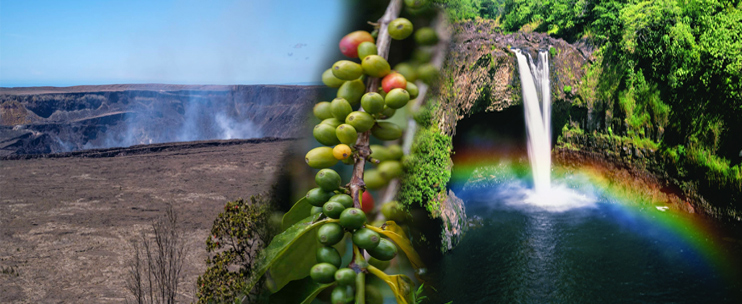 Discount Sightseeing Tours on the Big Island