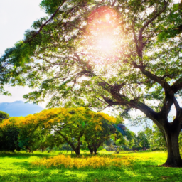 Experience the Planter’s Journey: Plant a Legacy Tree in Oahu’s 1st Hawaiian Legacy Forest Tour