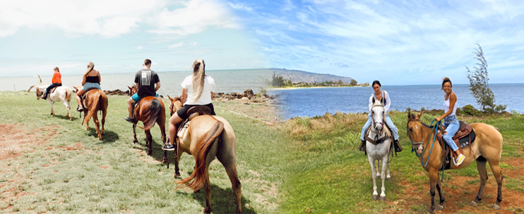 Explore Oahu’s North Shore on a Guided Horseback Riding Tour