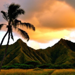 Explore the Stunning Views of Kualoa Valley on a Group Tour with Kualoa Ranch
