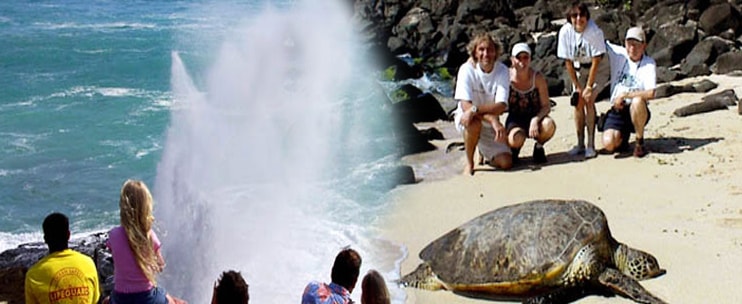 Oahu Nature Tours: Explore the Flora and Fauna of Hawaiis Oahu Island