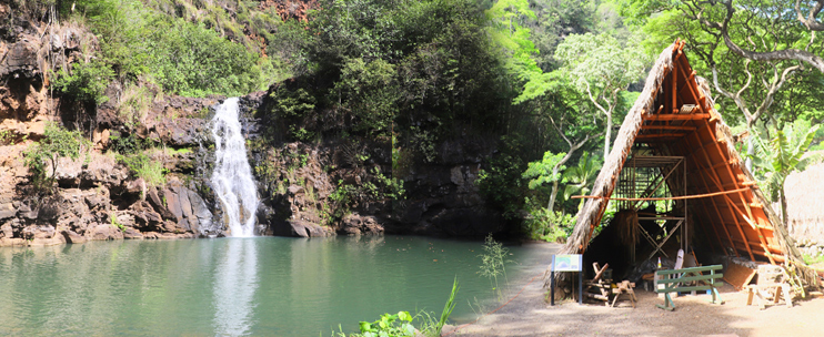 The Waimea Waterfall Hike and Swim: A Nature Tour on Oahus North Shore