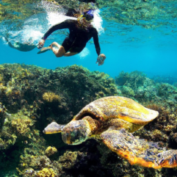Trilogy Excursions Deluxe Molokini & Turtle Snorkel Tour Review