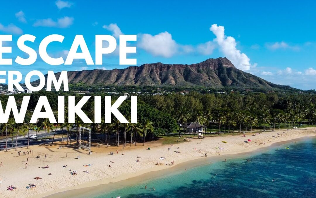 Honolulu Things to Do for a Day | Honolulu, Hawaii activities, eats, and all kid-friendly