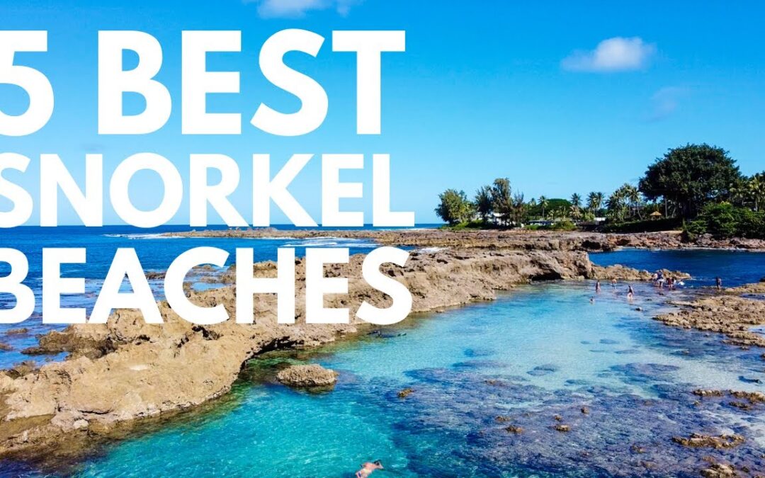 Where to Snorkel on Oahu, Hawaii | 5 Best Snorkel Spots on Oahu