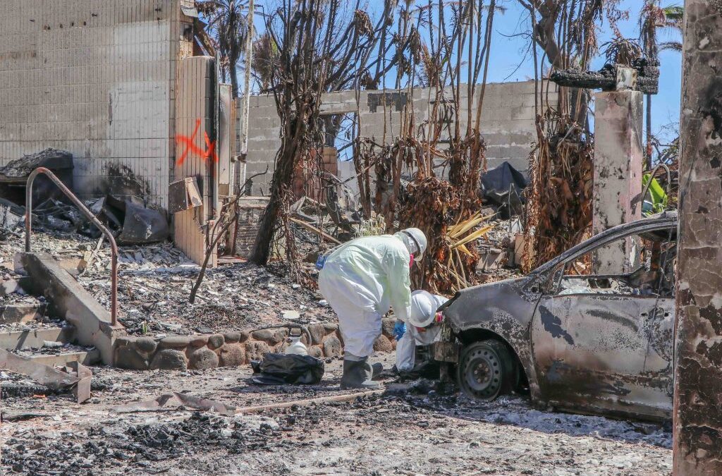 EPA workers finding many batteries during  hazardous material cleanup of Lahaina burned area