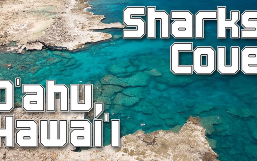 Exploring the Tunnels of Sharks Cove, North Shore, O’ahu