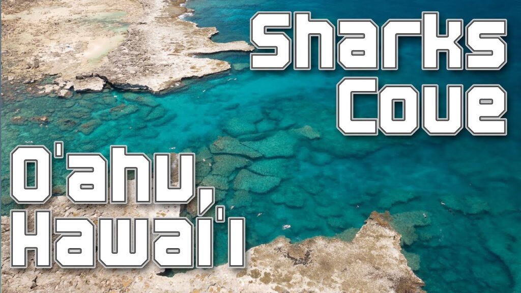 Exploring the Tunnels of Sharks Cove, North Shore, Oahu Exploring the Tunnels of Sharks Cove, North Shore, Oahu