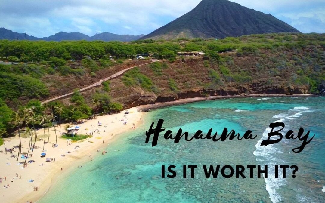 Hanauma Bay Oahu Hawaii Is This The Best Snorkeling Spot 1
