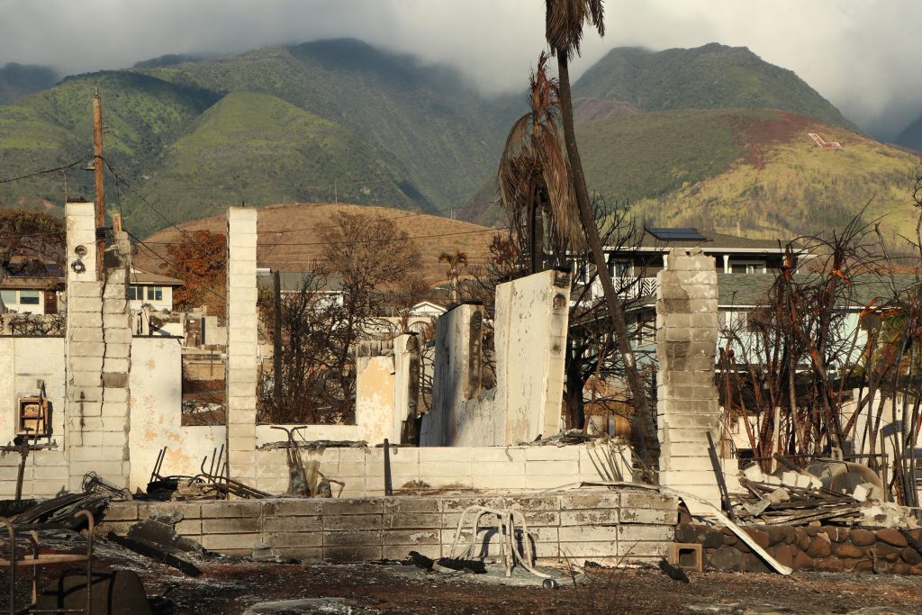 Maui wildfire recovery: resources and updates for Sept. 5