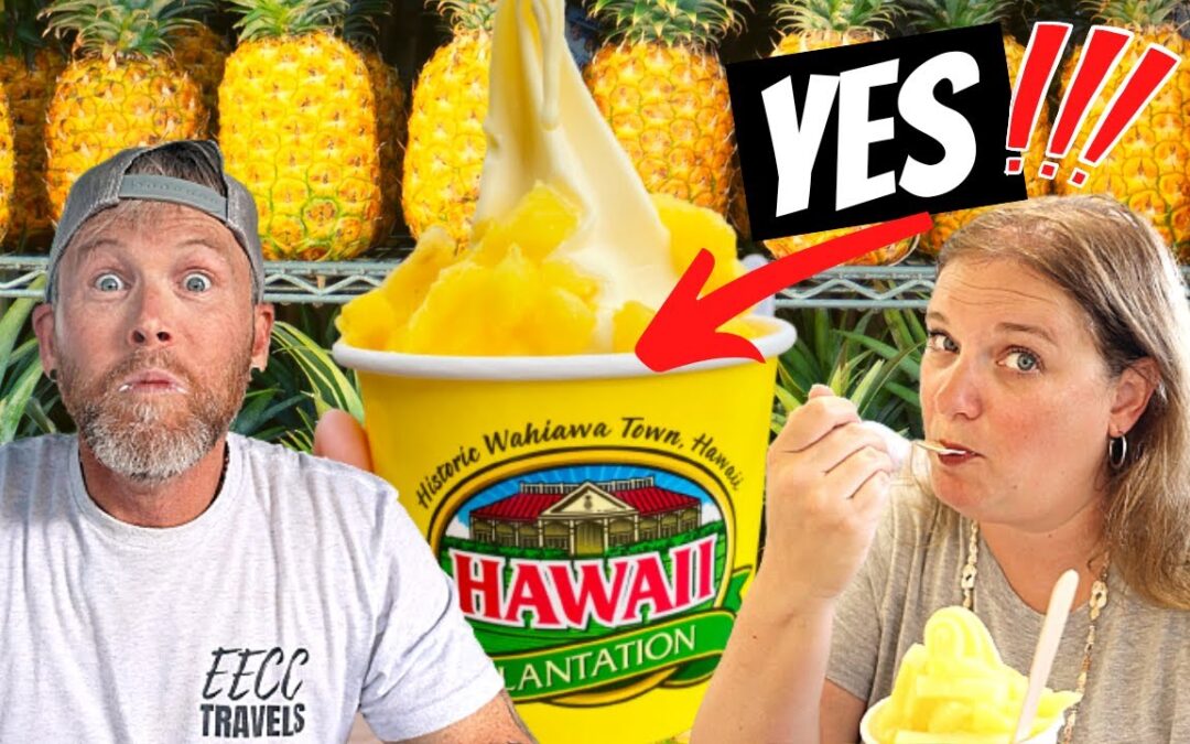 Must Dos On Oahu Dole Whips And Sharks Cove Best Snorkeling On The Island 1