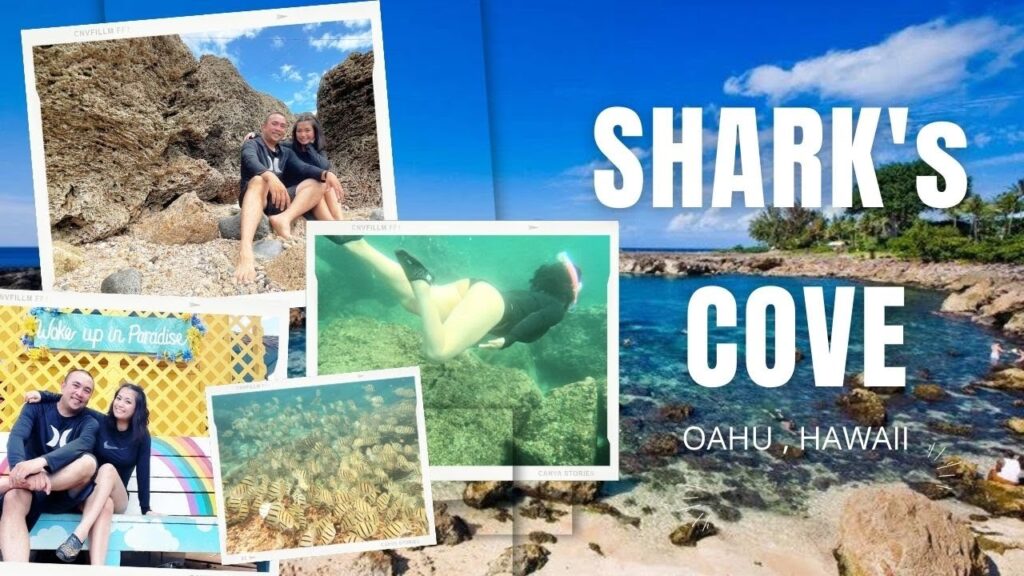 SHARKS COVE: One of the Best Snorkeling and Diving Spots in Oahu, Hawaii
