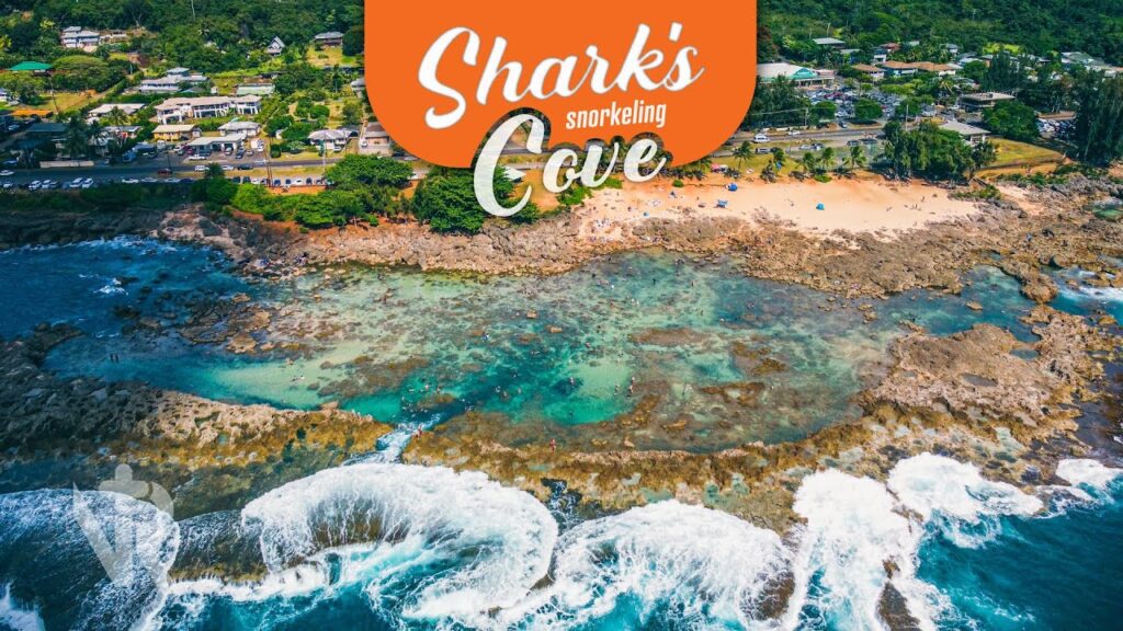 SHARKS COVE - One of the Best Snorkeling Spots in Oahu! | HAWAII PT.4