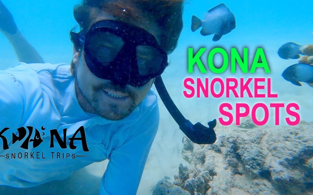 Best Snorkeling Big Island Guide Kona Snorkeling In Kailua Bay 1
