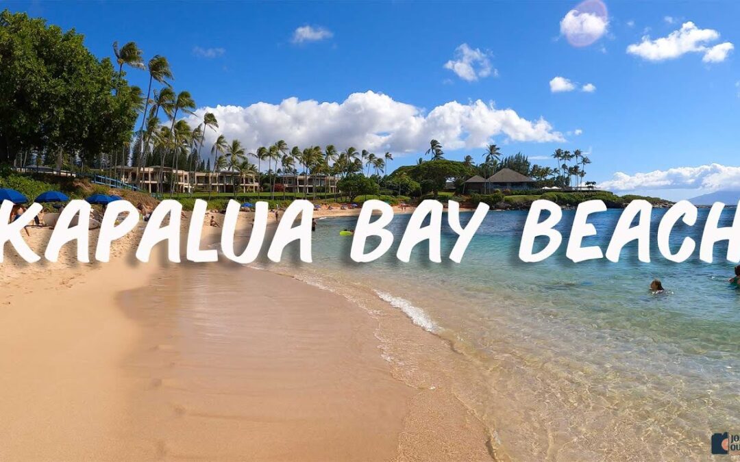 Best Snorkeling With Turtles And An Octopus At Kapalua Bay Beach In Maui Hawaii 1