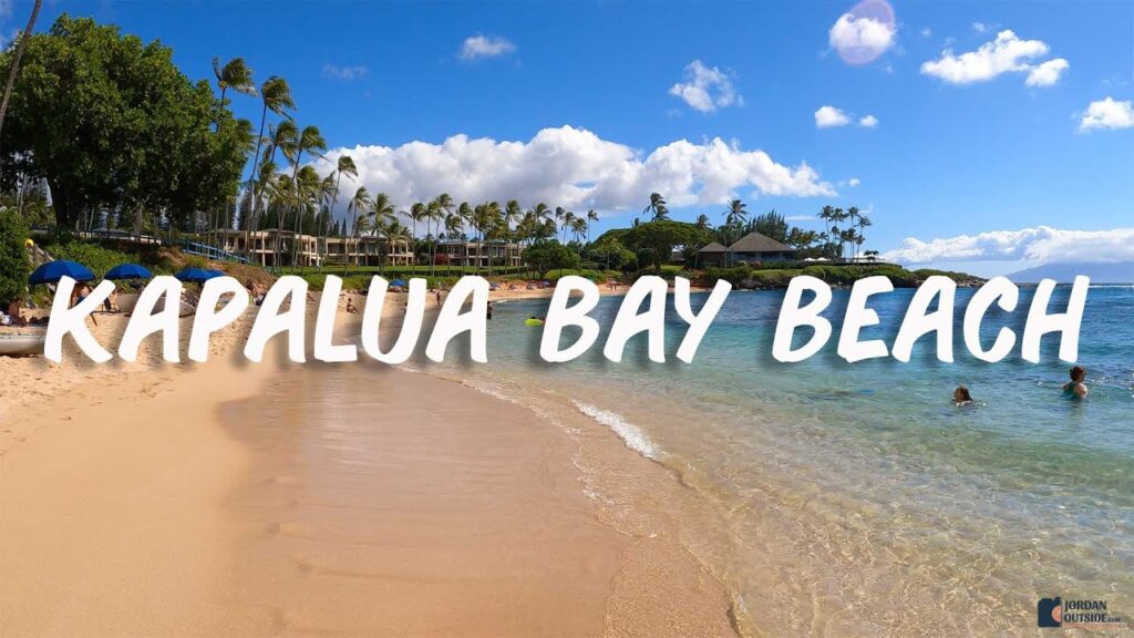 Best Snorkeling with Turtles and an Octopus at Kapalua Bay Beach in Maui, Hawaii