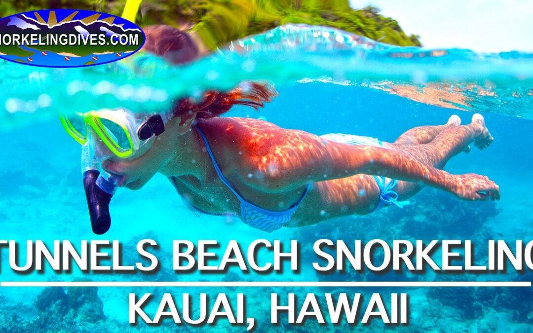 Best Tunnels Beach Snorkeling Kauai 1