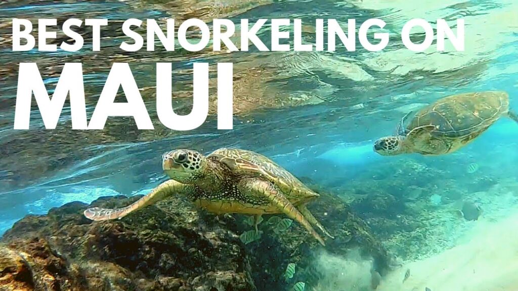 Black Rock Maui Snorkeling Tips | Kaanapali Beach for a Day of Great Snorkeling (turtles included)