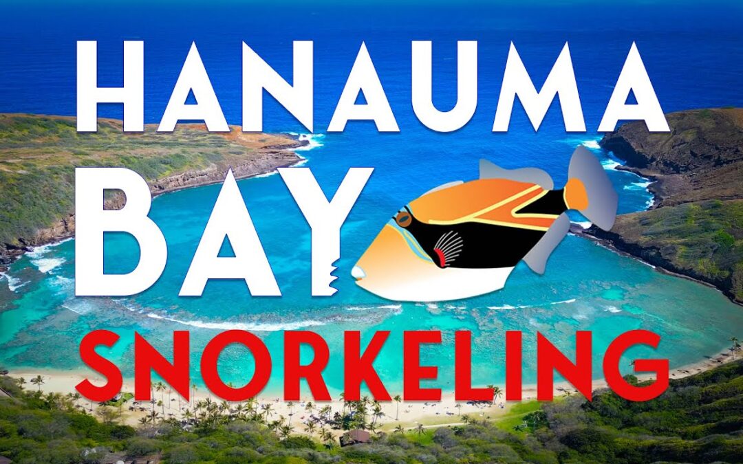 Hanauma Bay – Everything You Need to Know 2023 [4K DRONE]