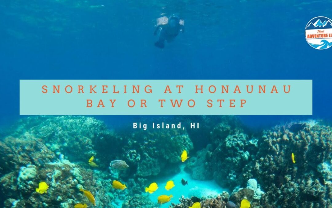 How To Snorkeling At Honaunau Bay Also Known As Two Step Big Island Hawaii 1